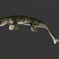 Prehistoric Aquatic Reptile Creature With Open Mouth Sharp Teeth And Scaly Skin