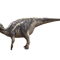 Realistic Striped Hadrosaur Dinosaur Standing Posture With Gray White Skin 3D Rendered