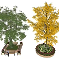 Modern Tree Pool Landscape Tree 3d model