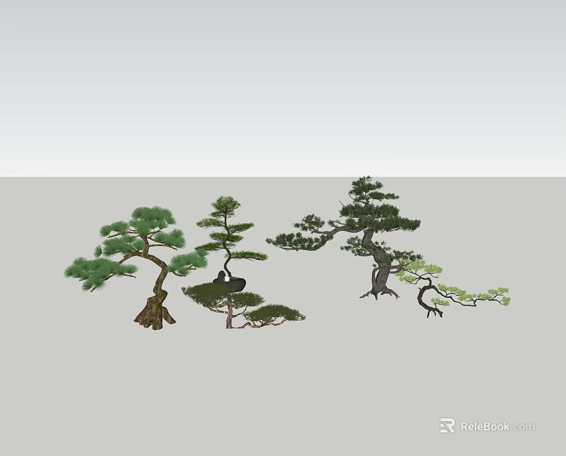 Artistic Bonsai Pine Trees With Various Shapes For Decorative 3d model 