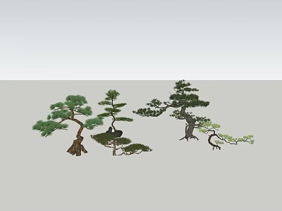 Artistic Bonsai Pine Trees With Various Shapes For Decorative 3d model