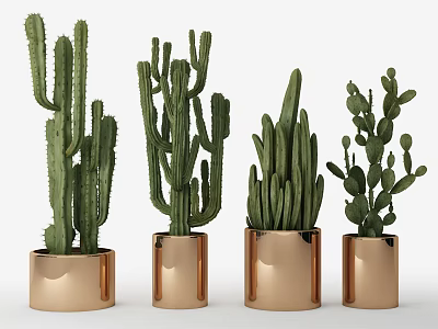 Potted Cactus Bonsai Plants in Stylish Copper Pots for Home Decor 3d model