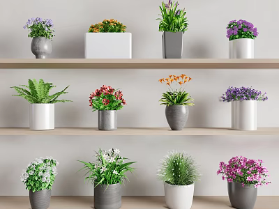 Potted Plants on Wooden Shelves with Colored Pots and Different Green Leafy Flowers 3d model