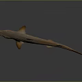 Brown Shark With Pointed Snout And Dorsal Fins On Gray Reflective Surface