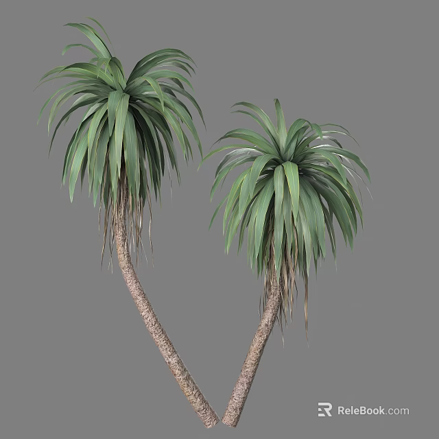 Two Palm Trees With Lush Green Fronds And Brown Curved Trunks 3d model 