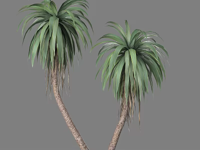 Two Palm Trees With Lush Green Fronds And Brown Curved Trunks 3d model
