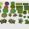 Diverse Garden Shrubs Collection With Various Colors Shapes And Flowering Types