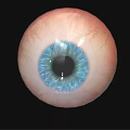Human Eyeball Featuring Blue Pupil Iris and White Sclera on Black Background
