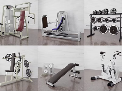 High Quality Sports Equipment Including Training Machines Dumbbells Benches And Bikes 3d model