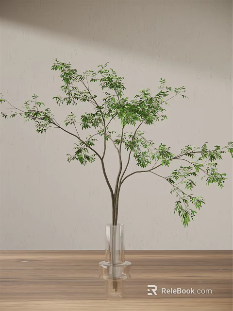 Transparent Glass Vase With Green Leaf Branches On Light Wall Background 3d model