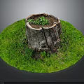 Wooden Tree Stump Surrounded By Circular Green Grass With Small Plants Growing