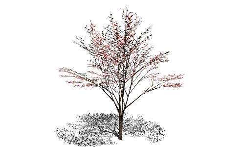 The Modern Tree 3d model