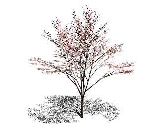 The Modern Tree 3d model