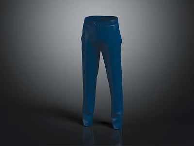Blue Straight Leg Pants with Slim Fit High Quality Fabric for Modern Fashion Style Wear 3d model
