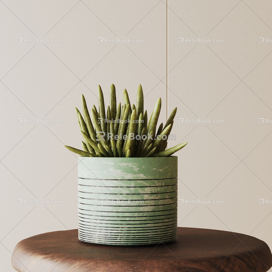 Modern Potted Plant 3d model