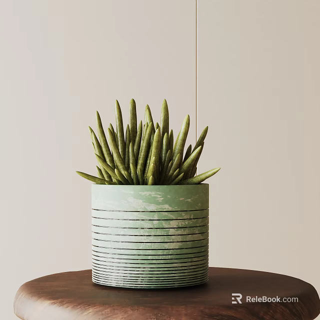 Succulent Potted Plant With Long Leaves In Green Striped Pot On Wooden Table 3d model 