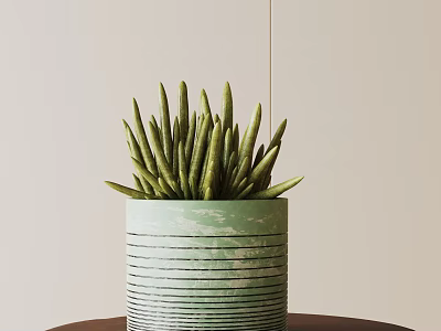Succulent Potted Plant With Long Leaves In Green Striped Pot On Wooden Table 3d model