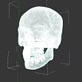 Intricate White Skull Sculpture Detailed Artistic Carving Design On Black Background