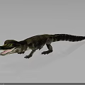 3D Crocodile Model with Open Mouth Green Eyes Brown White Stripes on Gray Background Reflection