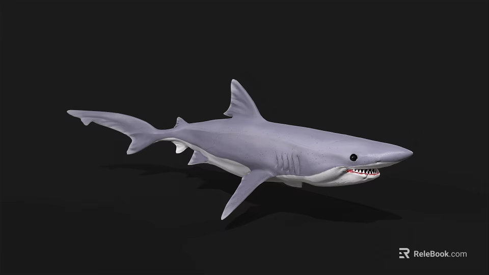 Gray Shark With Open Mouth And Sharp Teeth In Dark Background 3d model 