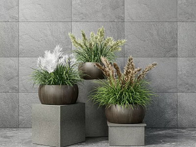 Bonsai Potted Plants On Gray Pedestals Against Gray Tile Wall With Green White Brown Grass 3d model