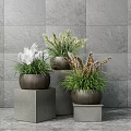Bonsai Potted Plants On Gray Pedestals Against Gray Tile Wall With Green White Brown Grass