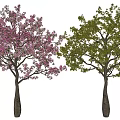 Two Arbor Trees Showcasing Pink Flowers And Green Leaves Side By Side