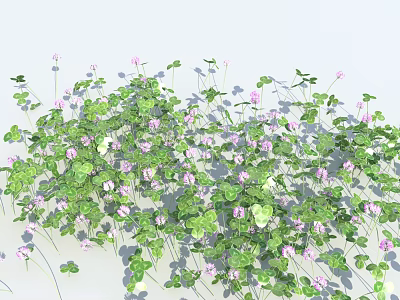 Modern Grass Clover 3d model Modern Grass Clover 3d model