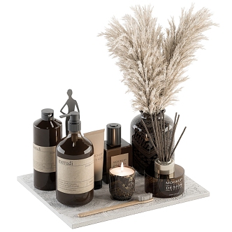 Modern toiletries 3d model