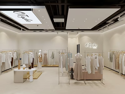Elegant Minimalist Ladies Clothing Store Interior With Neat Apparel Displays And Comfortable Shopping Atmosphere 3d model