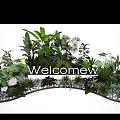 Lush Green Plants And Yellow Flowers In Welcome Area Decorative Garden