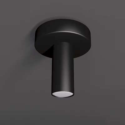 Modern Black Ceiling Light with Round Base and Cylindrical Design Featuring White Light Source 3d model
