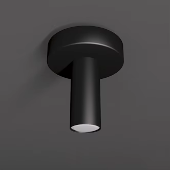 Ceiling lamp 3d model