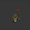 Three Green Potted Plants With Slender Leaves In Colorful Pots For Indoor Decor