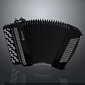 Black Concertina Accordion With White Keys Bellows And Decorative Patterns For Household Use