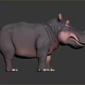 Cute Purple Pink Hippo 3D Model Standing On Gray Background With Friendly Expression 3d model