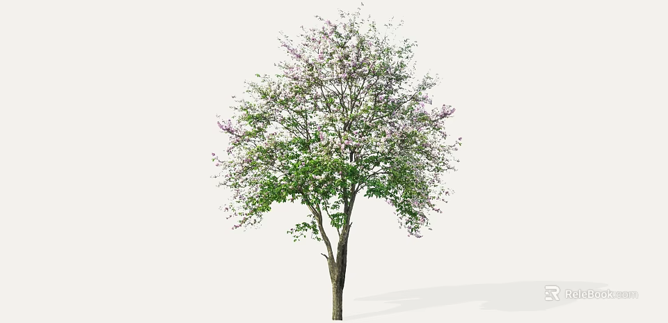 Blooming Arbor Tree With Green Leaves And Purple Flowers In Garden 3d model 