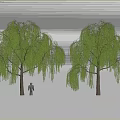 Weeping Willow Trees With Long Green Foliage And Human Figure For Scale 3d model