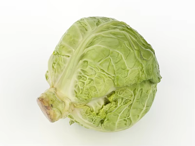 Fresh Organic Green Cabbage With Crisp Leaves On White Background 3d model