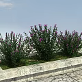 Three Green Plants With Purple Flowers In Stone Planter Under Blue Sky And Clouds