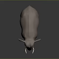 Detailed Brown Elephant Model with White Tusks Standing on Dark Background