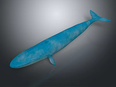 Blue Whale 3D Model Displayed Against Gradient Gray Black Background 3d model