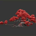 Vibrant Red Bonsai Plant with Unique Twisted Roots and Foliage on Gray Background