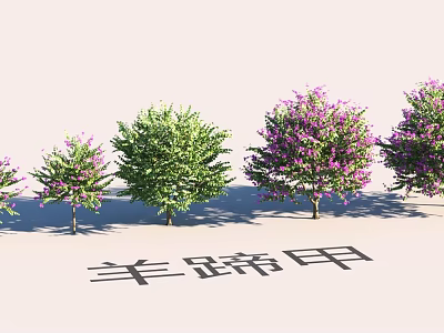 Garden Landscape Design With Green And Purple Flowering Bauhinia Trees 3d model