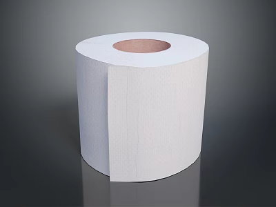 Sanitary Products Toilet Paper Roll Paper Handkerchief Paper Napkin Toilet Paper Raw Pulp Paper Recycled Paper Pure Wood Pulp Paper 3d model