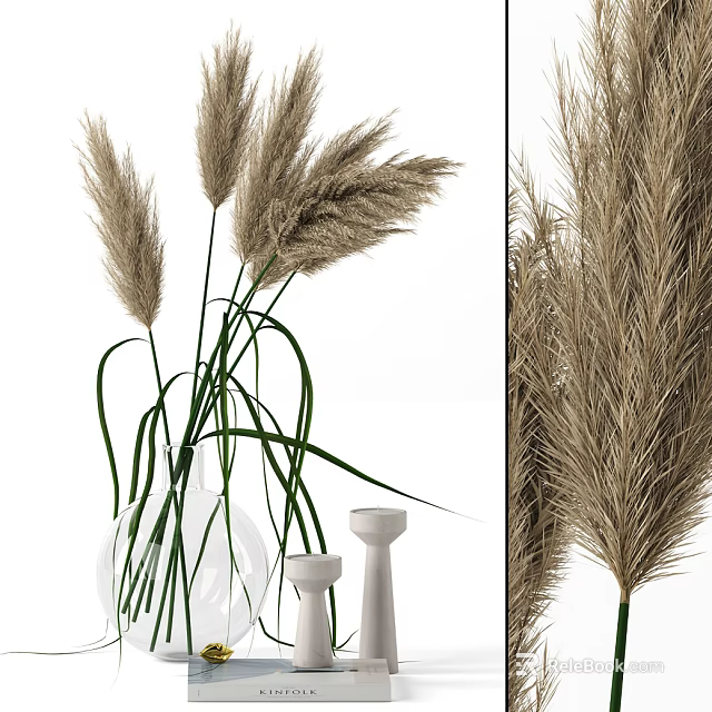 Natural Style Decorative Ornament Set With Pampas Grass Glass Vase And Candle Holders 3d model 