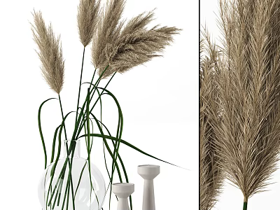 Natural Style Decorative Ornament Set With Pampas Grass Glass Vase And Candle Holders 3d model