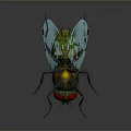 Detailed Realistic Fly With Red Eyes Green Body And Blue Wings