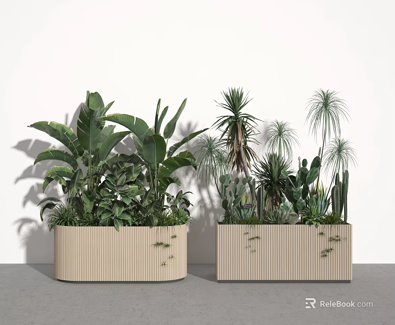 Wooden Rectangular Planters Filled With Various Potted Plants Large Leaves Cacti And Palm Plants 3d model 