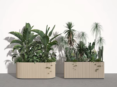 Wooden Rectangular Planters Filled With Various Potted Plants Large Leaves Cacti And Palm Plants 3d model
